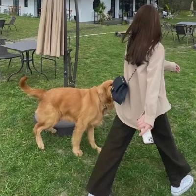 小个子
